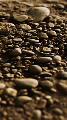 close up of small brown and grey stones