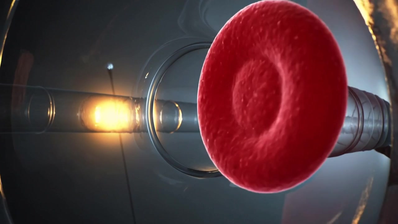 Globulo rosso che scorre, ruotando e deformandosi attraverso un anello all'interno di un tubo, con luce calda e cellule in scia.
