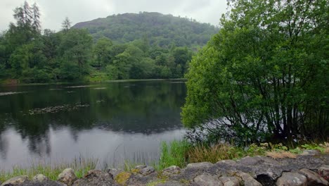 tranquil pan shot of reflective lake, green trees, and hills in lake district uk