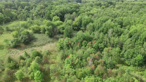 Drone-Volando-Sobre-Tierra-De-Madera,-Fabuloso-Paisaje-Verde,-Ohio,-Estados-Unidos