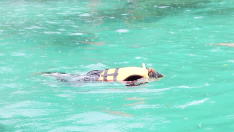 person snorkeling in clear turquoise water