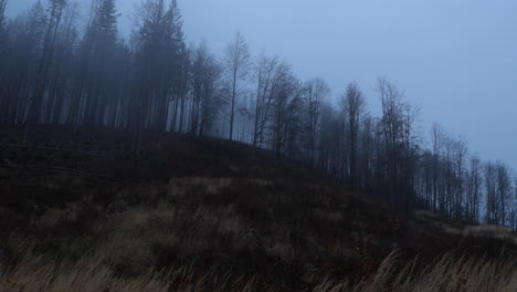 Fog-advancing-over-the-forest-and-surrounding-hills-during-a-sunny-afternoon