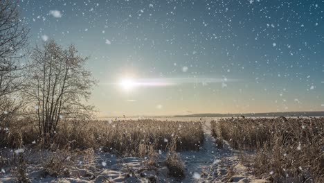 a winters scene animation with cars driving slowly down a snow-covered road and leaves falling gently from the trees. video loop