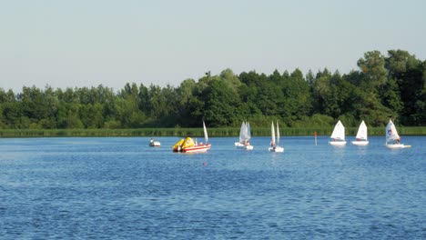 Botes-Optimistas-De-Vela-En-El-Parque-Acuático-En-Kolbudy,-Gdansk,-Polonia-En-Verano