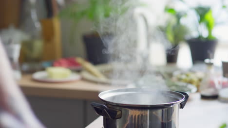 putting potato in pot with boiling water