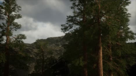 niebla y pinos en la escarpada ladera de la montaña y la tormenta que viene