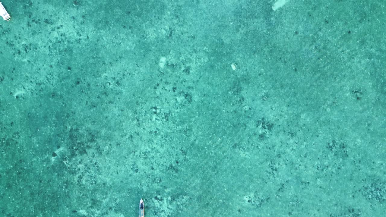 사바  ⁇ 포르나, 마불 섬, 바자우 라우트 커뮤니티, 말레이시아의 해안의 조류 눈 사진