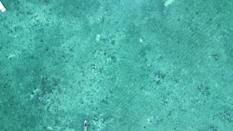bird-eye aerial of coast at the sabah semporna, mabul island, bajau laut community, malaysia