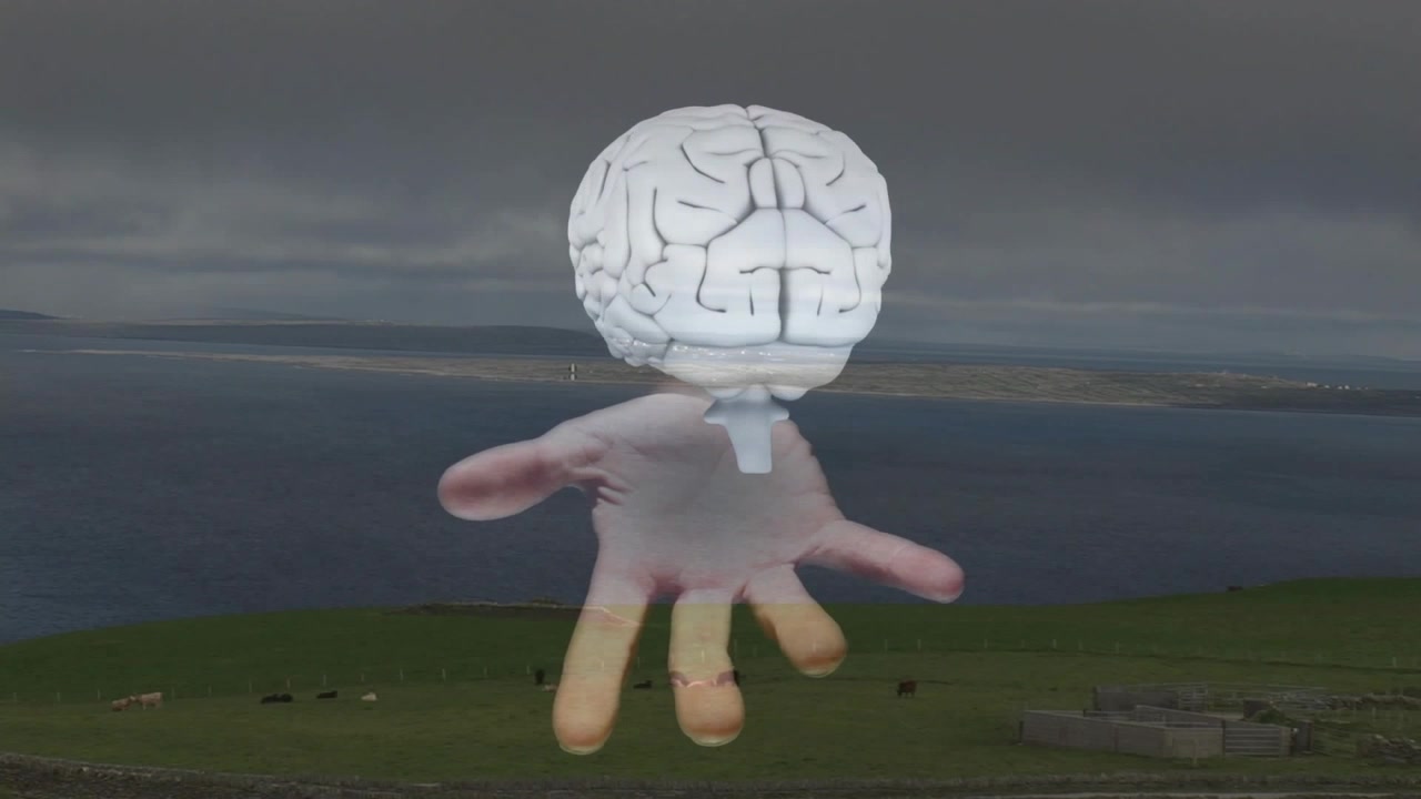 Hovering pale palm and brain composite over coastal pasture by sea, stone walls and grazing cattle