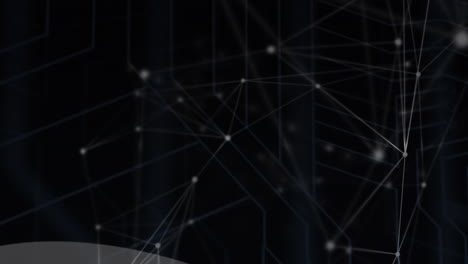 animation of networks of connections over black background