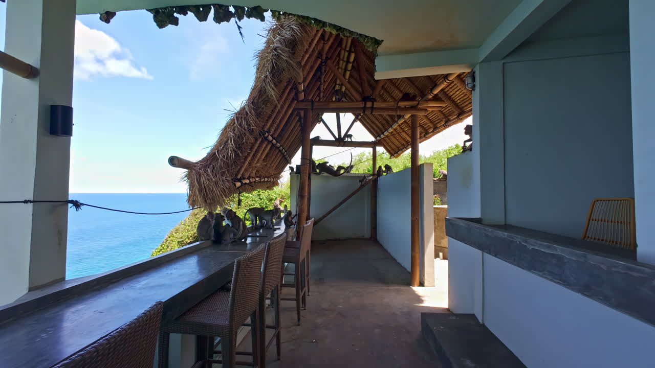 Monkeys Under Thatched Roof At Clifftop Bar Overlooking Bali Sea In Bali, Indonesia. dolly-in shot