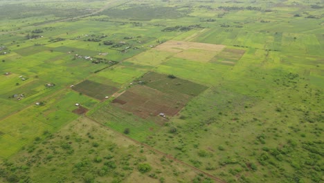 panorama aéreo idílico de una exuberante plantación verde cerca de loitokitok, kenia