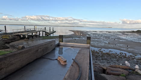 Birds-eagerly-await-scraps-near-the-fish-cleaning-station-as-the-tide-ebbs,-exposing-the-shore