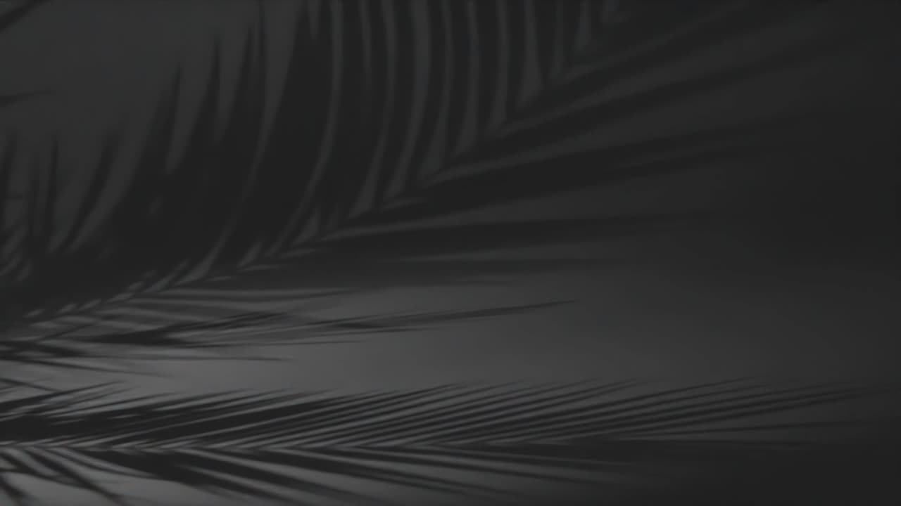 Premium stock video - Tropical palm tree leaves against black background