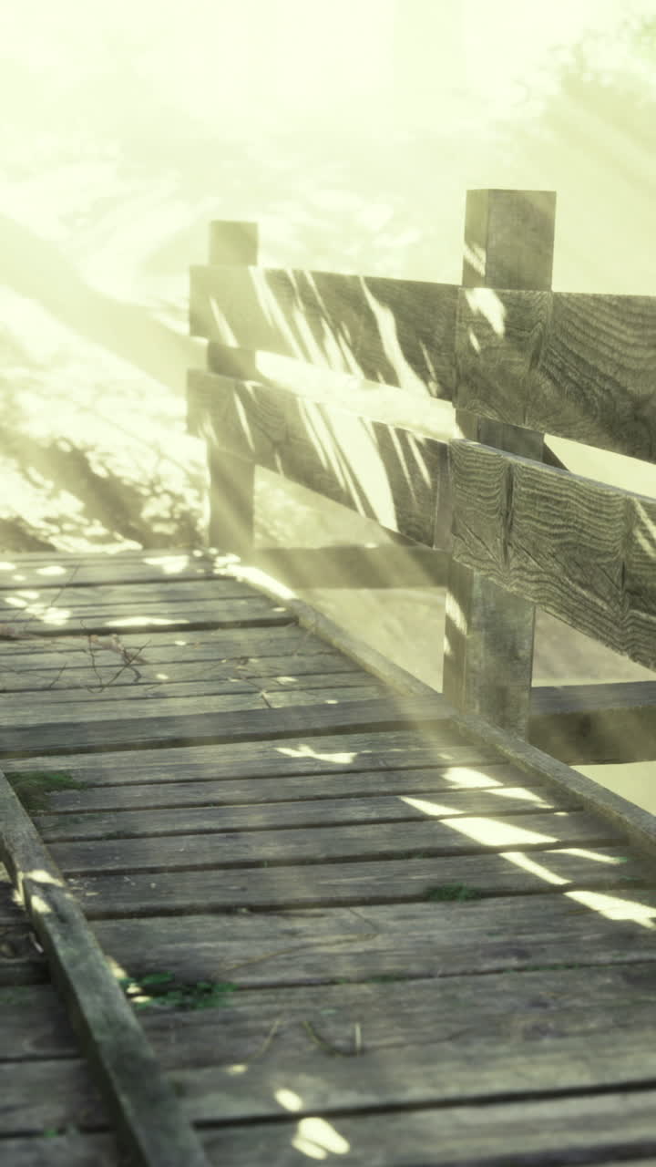 Sunlight filters through trees illuminating a wooden bridge in a serene forest