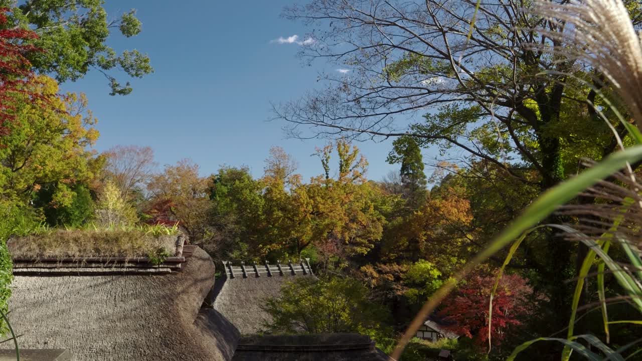 일본의 아름다운 가을 색 마을에 대한 놀라운 공개