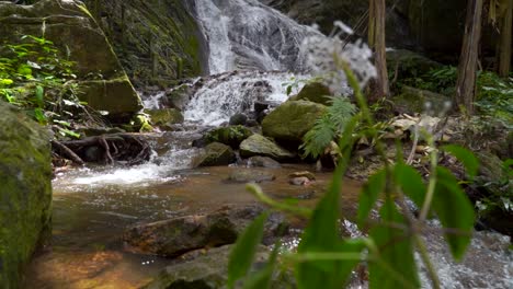 slow motion slider over beautiful waterfall and vegetation in jungle