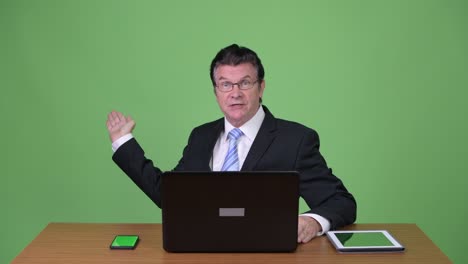 senior handsome businessman talking and showing something