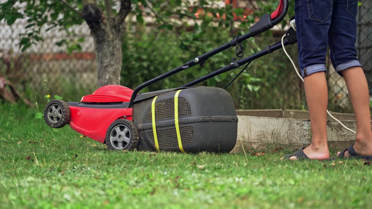 Care for the garden and grass. Lawn mowing petrol lawn mower in the garden, upgrading the territories