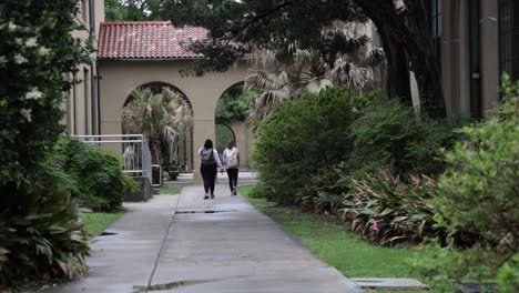 students walking in the distance on the campus of louisiana state university with stable video