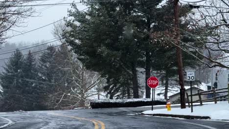 -Slow-motion-video-of-a-snowy-nor’easter-in-the-suburbs-of-New-York-City,-on-a-winter's-day