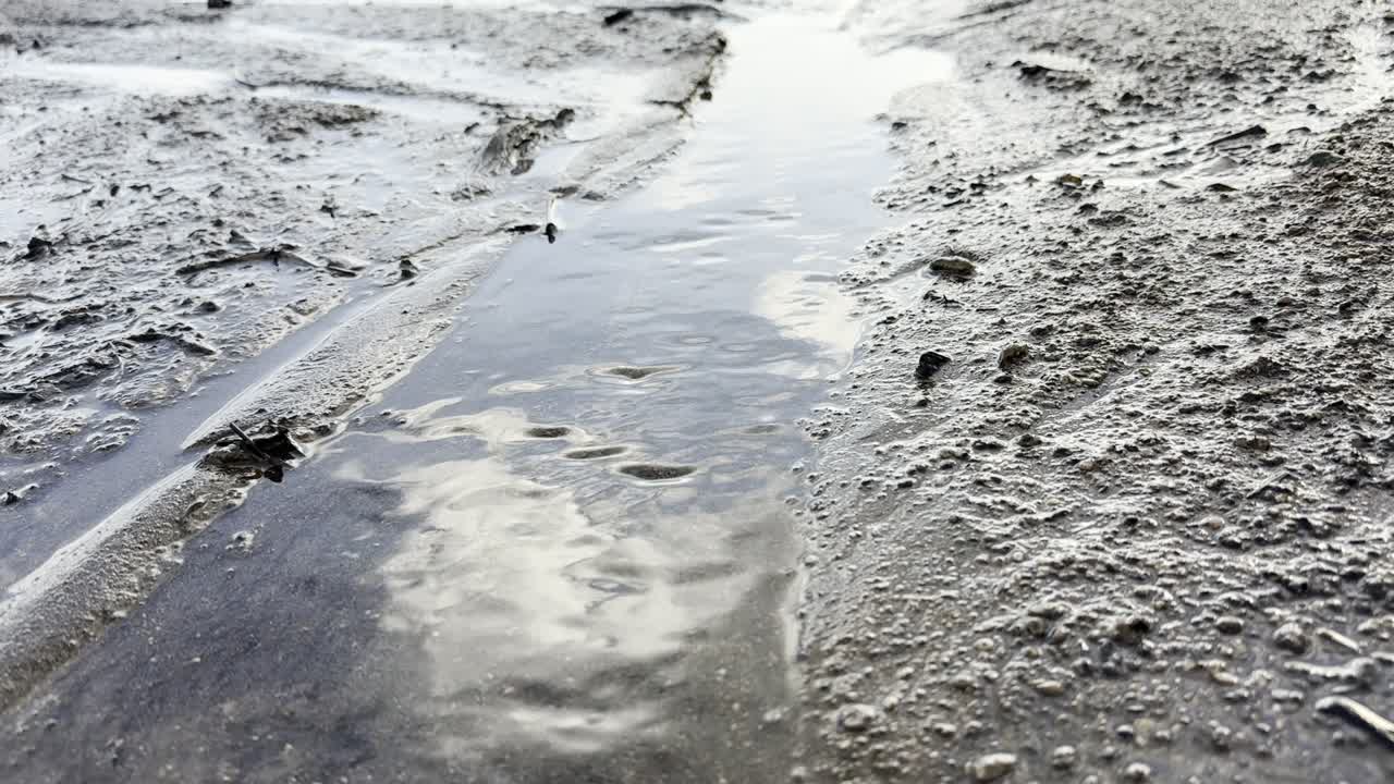 Primer plano de agua cristalina fluyendo por terreno lodoso