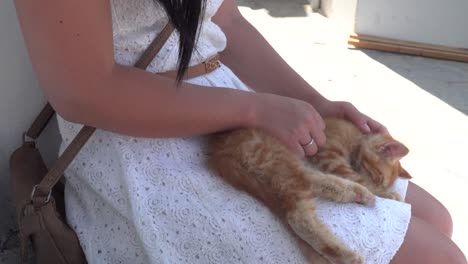 female in white dress petting orange kitten on lap, sitting on stone wall