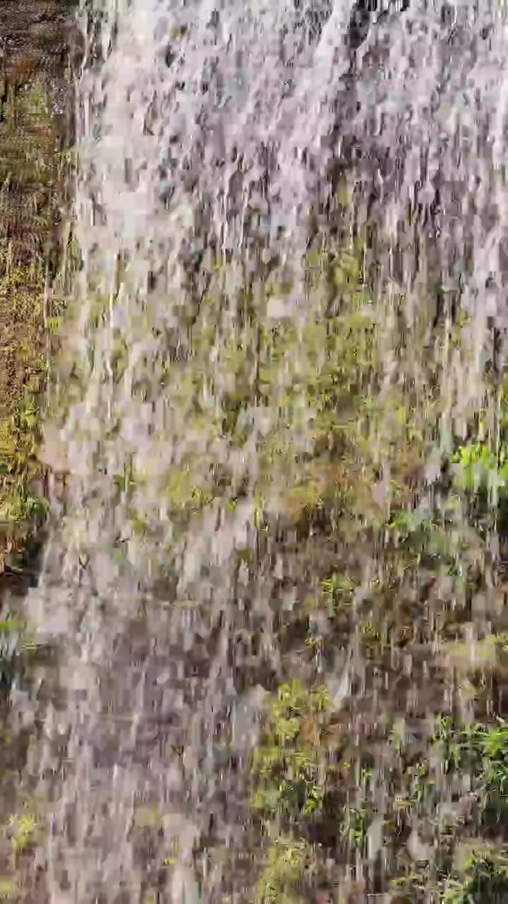 Sunlit waterfall streams over moss-covered rocks, lush greenery, and forest in Khao Yai, Thailand