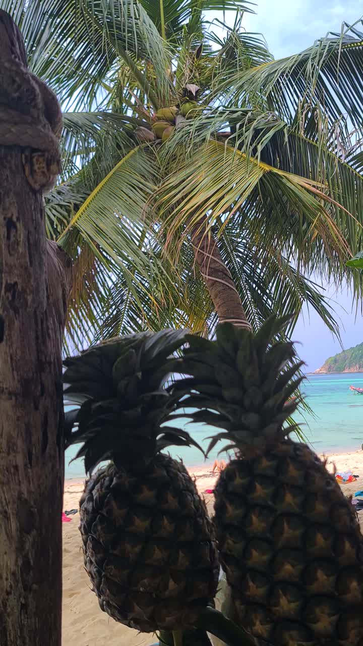 Vertical View, Pineapples on Beach Bar Counter and Palm Tree on Sandy Shore, Tropical Vacation Scenery