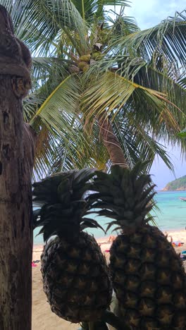 vertical view, pineapples on beach bar counter and palm tree on sandy shore, tropical vacation scenery