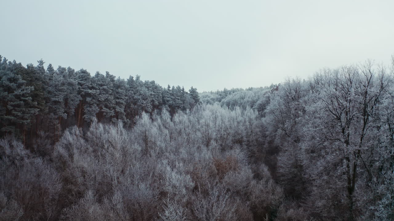 Winter landscape in the forest. Aerial view of winter snow covered forest