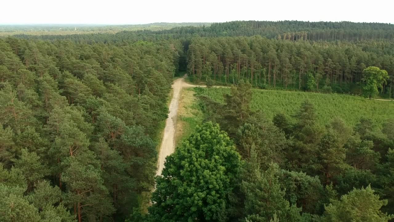vista aérea de drones de un largo camino en el bosque de bracknell