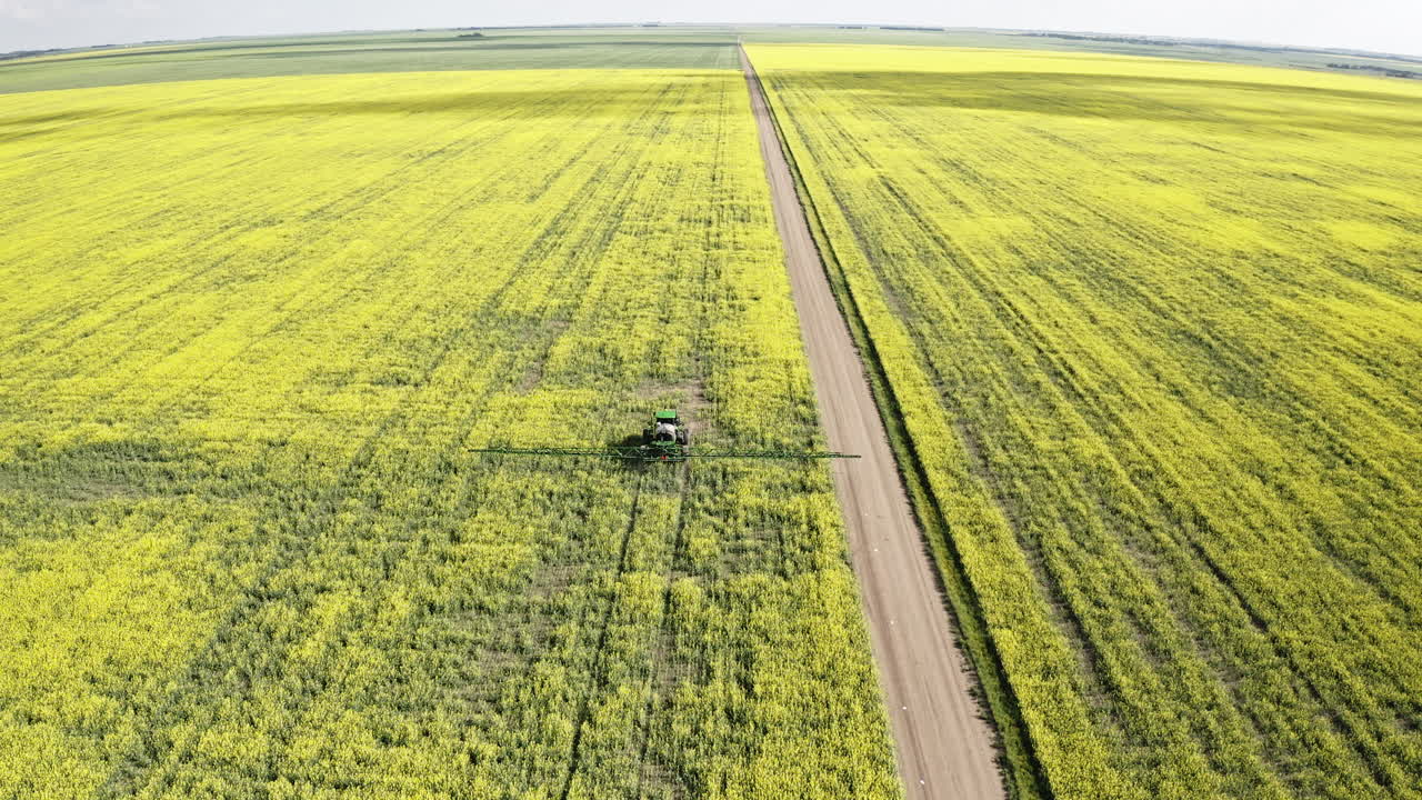tractor agrícola rociando los hermosos y vibrantes campos de canola amarillos en saskatchewan, canadá