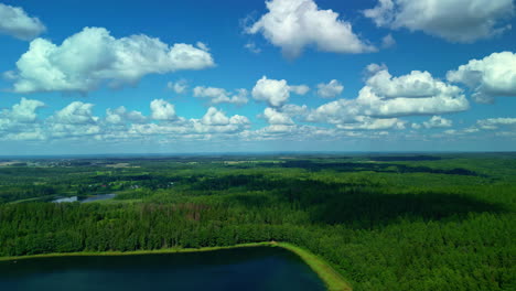 drone's pedestal shot unveils vast lakes and pine trees, offering expansive views under blue skies and cumulus clouds in latvia, europe