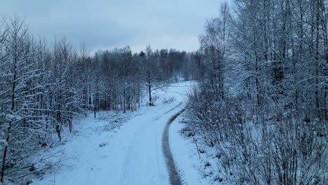 Slow-Aerial-fly-forward-over-the-forest-and-village-road-covered-with-deep-snow-in-Pieszkowo,-Poland