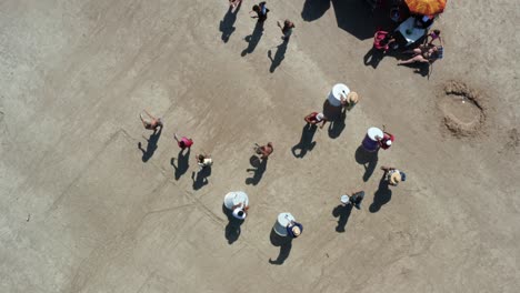 bird's eye rotating aerial drone shot of a marching band and teens dressed as furry bears performing and asking for money for carnaval on the tropical bessa beach in joao pessoa, paraiba, brazil