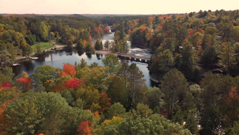 dam and rapids in middle fall color forest in canada - circling, drone shot