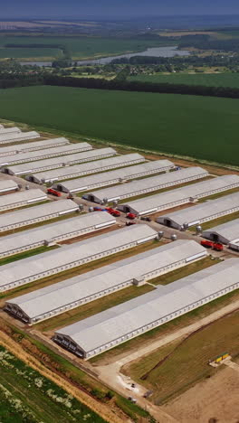 aerial view on a farm surrounded with agriculture fields. big territory with many modern buildings for poultry on a sunny summer day. vertical video