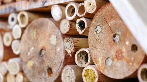 Stack-Of-Bamboo-Tubes-For-Mason-Bees.-closeup