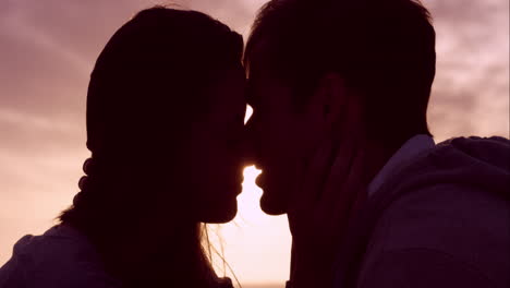happy loving couple kissing at sunset showing emotional intimacy touching hugging and cuddling