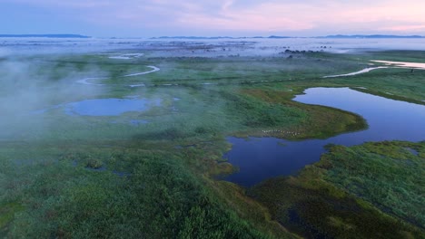 early morning flyover in the wetlands