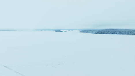 Aerial View of a Frozen Lake and Snow-Covered Forest in Winter