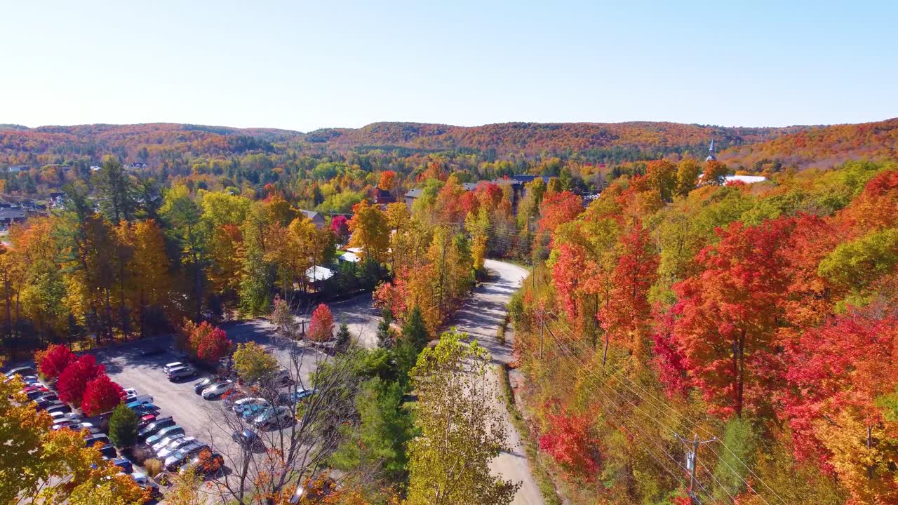 Multicolor maple leaf tree autumn fall season Canada Ontario neighbourhood aerial drone