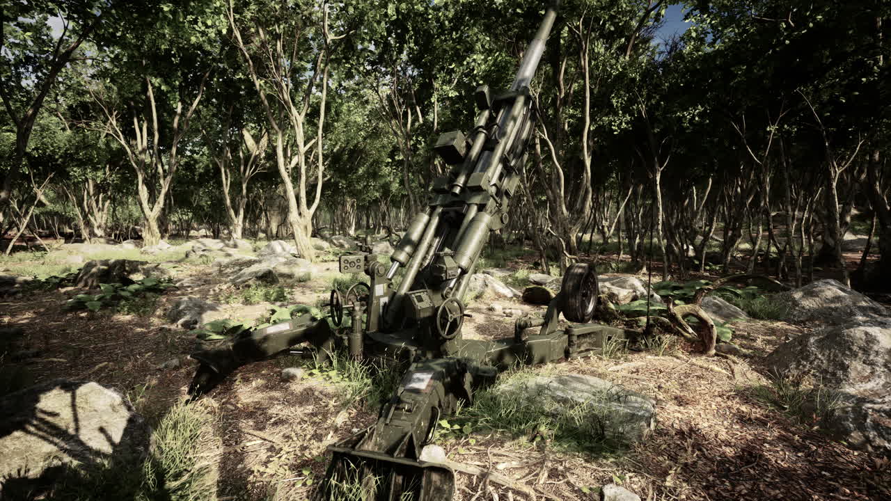 숲 속의 큰 대포