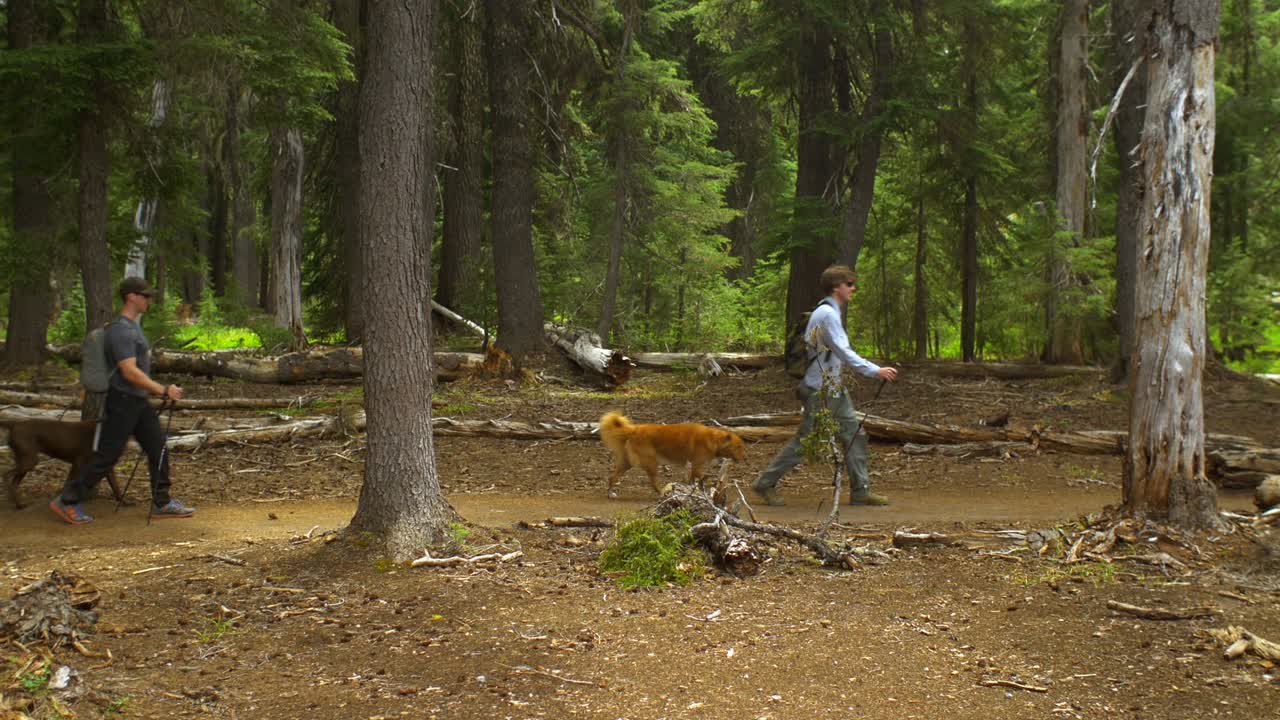 산책객들의 넓은 사진