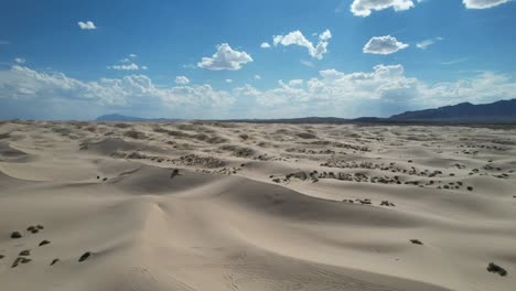 día soleado sobre las dunas del desierto