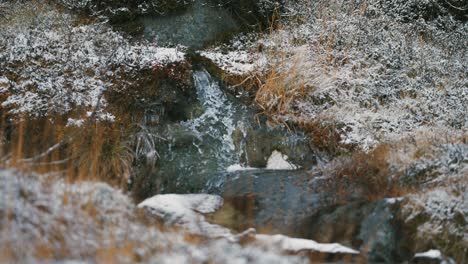 Las-Primeras-Nevadas-Cubrieron-Los-Arbustos-Bajos-Y-La-Hierba-Marchita-De-Las-Orillas-Del-Pequeño-Riachuelo