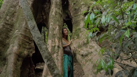 Niña-Dentro-Del-Hueco-Del-árbol-Sintiendo-La-Textura-De-La-Raíz-Del-Contrafuerte---Pista-Del-árbol-De-Los-Deseos-En-El-Parque-Nacional-De-Lamington---Queensland,-Australia