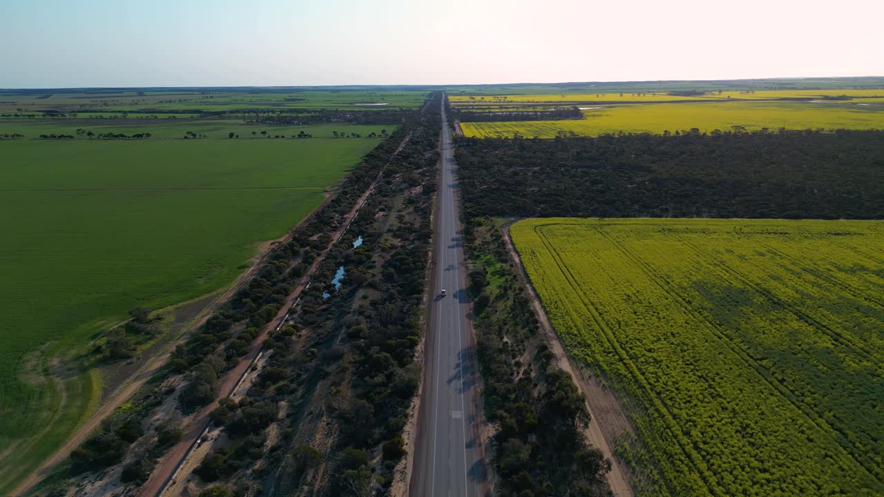 오스트레일리아의 밀 벨트 농업 지역에서 긴 직선 도로에서 이동하는 차량