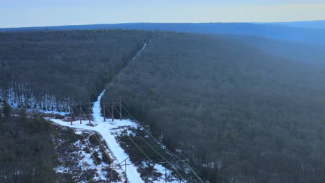 Fliegen-über-Stromleitungen-In-Einem-Verschneiten-Wald